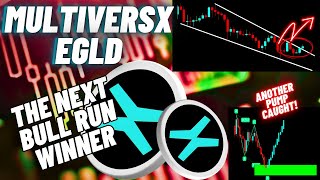 MultiversX EGLD Crypto Coin The Next Bull Run Winner [upl. by Onirotciv]