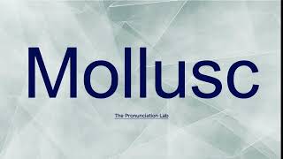 Mollusc Pronunciation How to Say Mollusc  Are You Saying It Right [upl. by Novej]