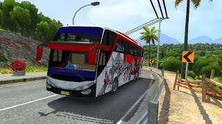 Experienced Driver Dangerous roads Hilly Areas Bus Simulator Indonesia Gameplay [upl. by Elmajian372]