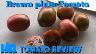 ⟹ BROWN PLUM or BLACK RUSSIAN PLUM TOMATO  Solanum lycopersicum  Tomato Review [upl. by Acceber763]