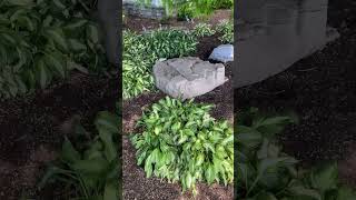 Landscaping Tips to Hide Your Septic Tank Access [upl. by Jami264]