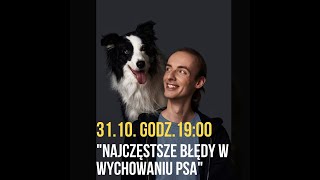 Najczęstrze błędy popełniane w wychowaniu psa Sprawdź czy je popełniasz [upl. by Yruy600]