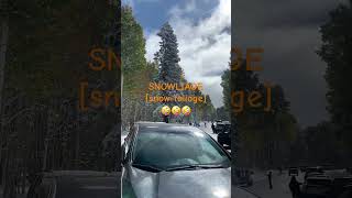 SNOWLIAGE ARIZONA SNOWBOWL FLAGSTAFF AZ shortvideo travel snow arizona [upl. by Burty]