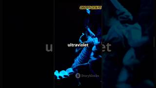 scorpion amazingfacts universe ytshorts shorts science [upl. by Aihsik]