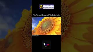 The Fibonacci sequence and the Golden Ratio fibonacci vcankanpur goldenratio maths learning [upl. by Luiza]