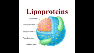 Lipoproteins structure and functions  2024 [upl. by Fredella717]