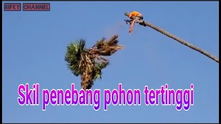 skill penebang pohon tertinggi [upl. by Margarette]