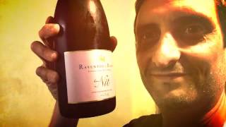 Tasting 2014 Raventos i Blanc de Nit Sparkling Wine from Catalonia [upl. by Annitsirhc]