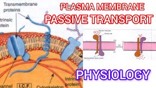 Plasma membrane🫠 passive transport process [upl. by Norved]