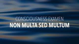 Consciousness Examen  Non Multa Sed Multum [upl. by Ydderf]