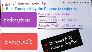 ENDOCYTOSIS AND EXOCYTOSIS  Bulk Transport by Cell Membrane  Phagocytosis and Pinocytosis [upl. by Ymorej]