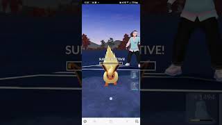 Great League  Road to 21 Rank 20 pokemongo [upl. by Halsey]