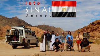 Into Sinai Desert  Egypt [upl. by Nodaj]