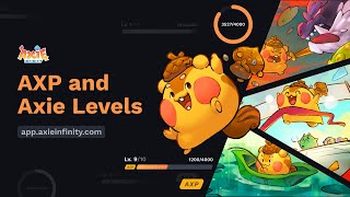 Axie Experience Points AXP and Levels Overview [upl. by Ardnuaek226]