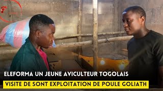 Eleforma un jeune aviculteur togolais [upl. by Llerrac]