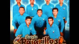 Banda Pajarillos Musical  Naci En La Pobresa [upl. by Eustasius]