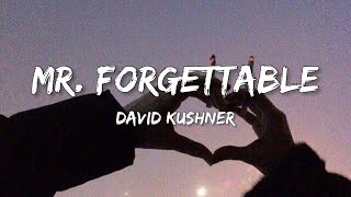 David Kushner  Mr Forgettable Lyrics quothello hello are you lonely im sorry its just the chemicalsquot [upl. by Atiuqihs]