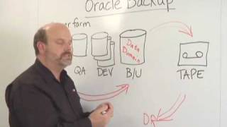 Backup and Recovery of Oracle Database Environments with Data Domain [upl. by Nirac]