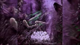 Infant Annihilator  Blasphemian NEW 2016 w LYRICS [upl. by Greg]