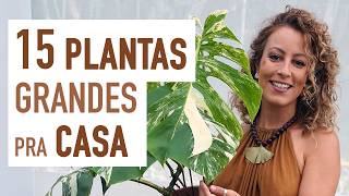 15 PLANTAS GRANDES pra ter em CASA sugestões para DECORAR a SALA [upl. by Notned485]