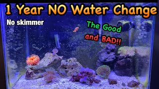 1 Year No Water Change 20 Gallon Reef Aquarium [upl. by Jc]