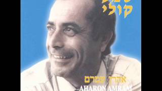 אהרן עמרם אם ננעלו ב Aharon Amram [upl. by Lavinie]