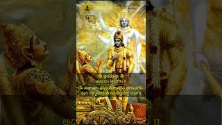 Bhagavad Geetha Shloka  21 Bhagavad Gita [upl. by Dannie343]