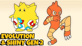 Pokemon Evolution FULL Generation 2 Animation 🌟 Shiny [upl. by Aniad]