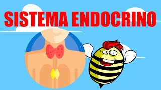 🟥SISTEMA ENDOCRINO 💚EXPLICADO FÁCIL🧠GLÁNDULAS Y HORMONAS🟥 [upl. by Aikym491]