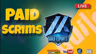 GUILD ESPORTS DAILY PAID SCRIMS [upl. by Stegman]