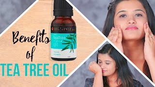 5 Essential Uses of Tea Tree Oil For Face And Skin  Glamrs [upl. by Sidwohl]