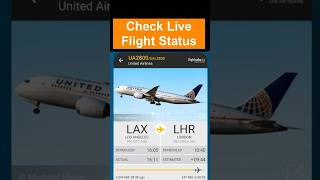 How to Check Live Flight Status  track flight in real time [upl. by Liesa195]