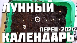 Лунный календарь на посев перца сладкого в 2024 году Лучшие даты для большого урожая [upl. by Aleb]