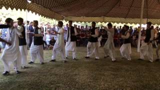 Pukhtoon Attan in Comsats Wah  Shahid Malang [upl. by Eeb189]