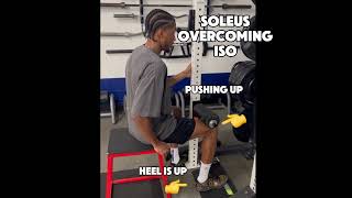 Achilles Tendon Loading physicaltherapy physio achilles [upl. by Nomead]