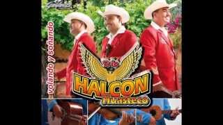 Mix Halcon Huasteco disco completo [upl. by Bohun44]