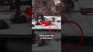 Was That Owen Hart’s Blood on the Ring [upl. by Bergren576]