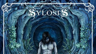 Sylosis  Empyreal solo cover [upl. by Xam]