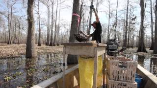 Through the Atchafalaya with Andy Bugh [upl. by Sarge]