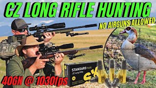 CZ LONG RIFLE HUNTING I NO AIR GUN ALLOWED I RIMFIRE PEST CONTROL [upl. by Enaled]