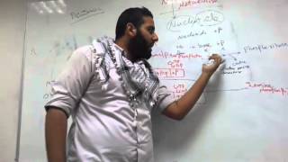 Nucleotide Metabolism by Ashraf ElShaer [upl. by Pietje]