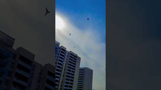 Low Cirrostratus Clouds Over Toronto Hyperlapse October 11 2024 [upl. by Goldshell]