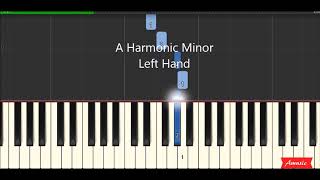 AMEB Piano for Leisure Preliminary Grade Technical Work Scales with fingerings [upl. by Lytle376]