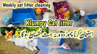 Weekly cat litter cleaning 🧼  How to Train a Cat to use Toilet 🚽  2024  Cat Toilet Training [upl. by Thompson]