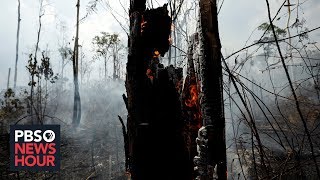 How Amazon deforestation could push the climate to a tipping point [upl. by Frissell]