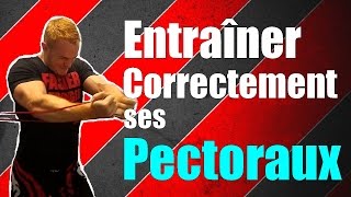 MUSCULATION  Comment entrainer correctement ses Pectoraux [upl. by Drawets]