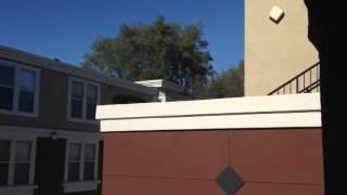 Nightmare neighbors at Arioso Apartments continues  EXPLICIT  July 28 2012 [upl. by Housum]