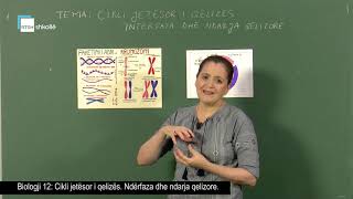 Biologji 12  Cikli jetësor i qelizës Ndërfaza dhe ndarja qelizore [upl. by Rochester]