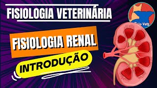 introdução à fisiologia renal  Filtração Glomerular  Aula 1 [upl. by Assetal]