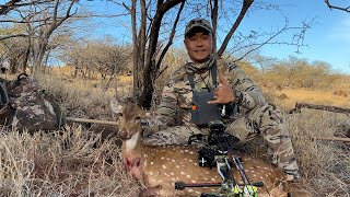 Lanai Archery Hunt  Manele Doe Recovery  Spot and Stalk 2023 [upl. by Akinod]